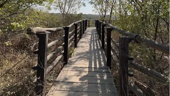 Aravalli Biodiversity Park